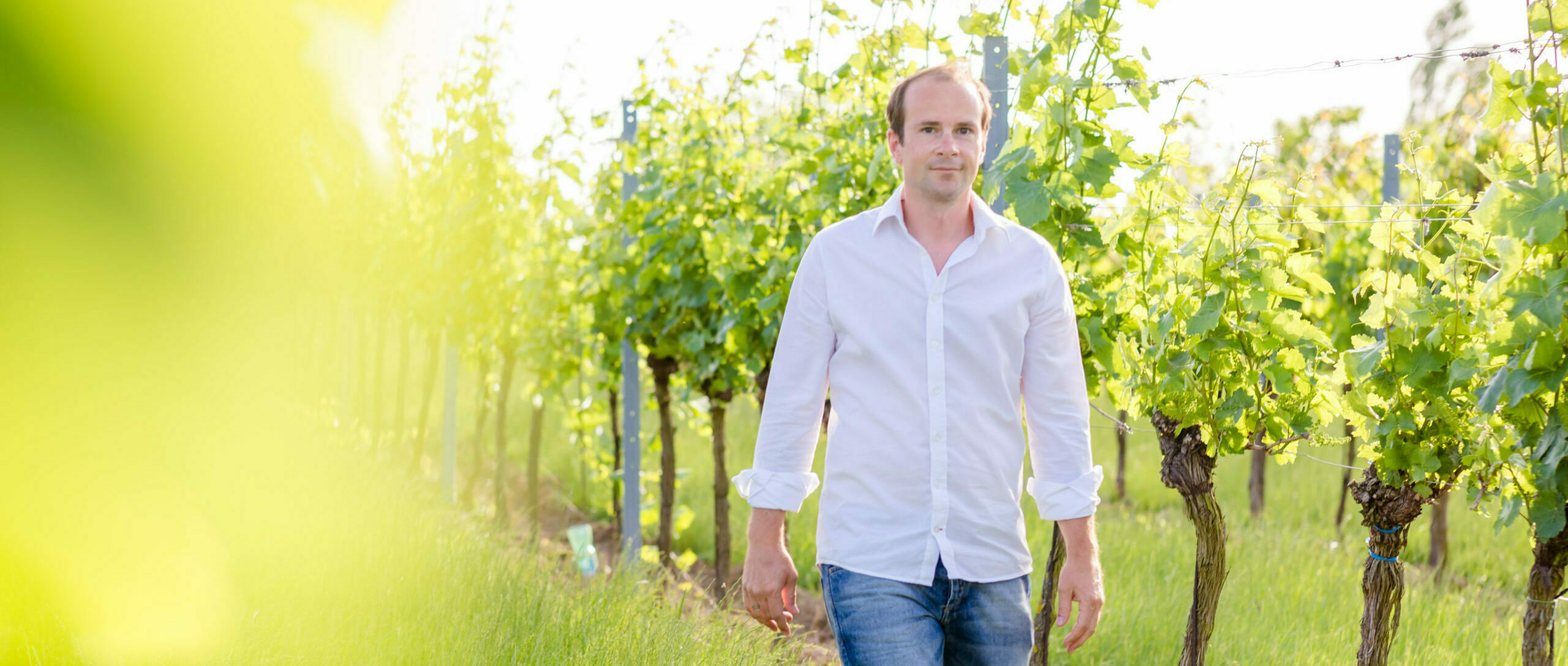 Weingut Hochmeister; Michael Hochmeister